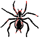 android2012:grp2:spider.png