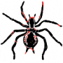 android2012:grp2:spider.png