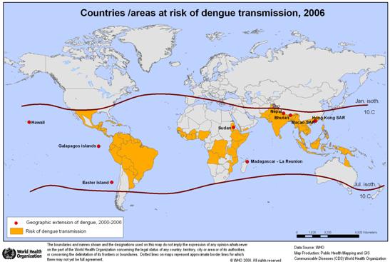 dengue2006.jpg