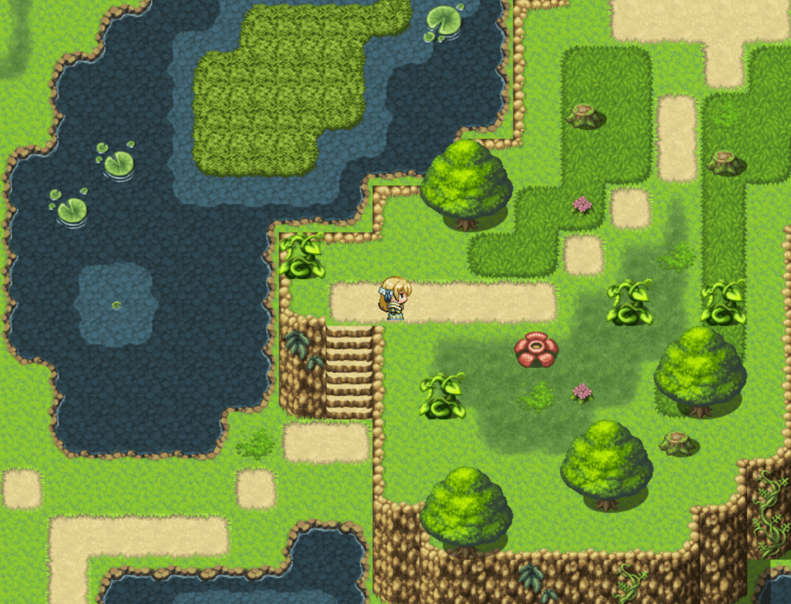 in_forest.png