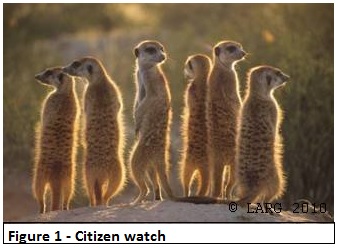 Citizen watch