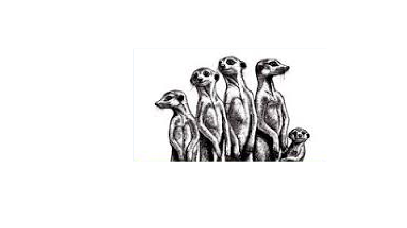 citizenwatch2.png