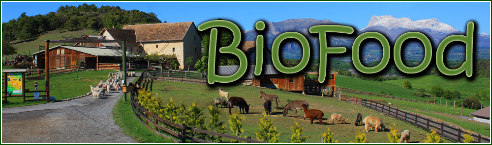 pic-code-camp-header.jpg