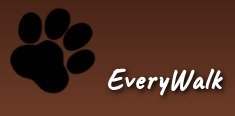 screenshot_from_2018-01-04_17-44-54.png